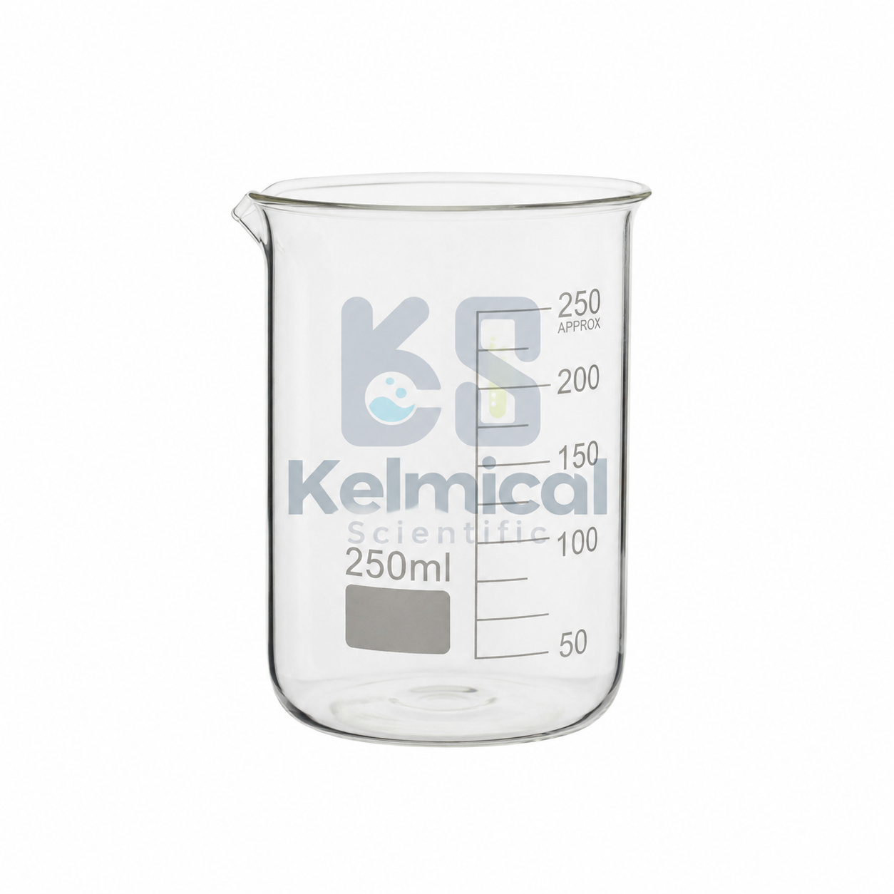 Beaker 50 mL